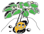 Kartoffellogokleinbunt